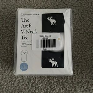 NWT A&F V Neck Tee Pack